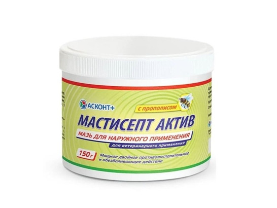 Мастисепт мазь 150г Асконт+