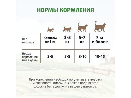 Лакомство Ферма кота Федора хрустящие подушечки для кошек и котят с паштетом 40г